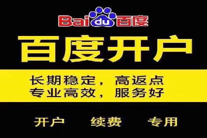 竞价推广公司的策略布局：某行业领导品牌的成功案例